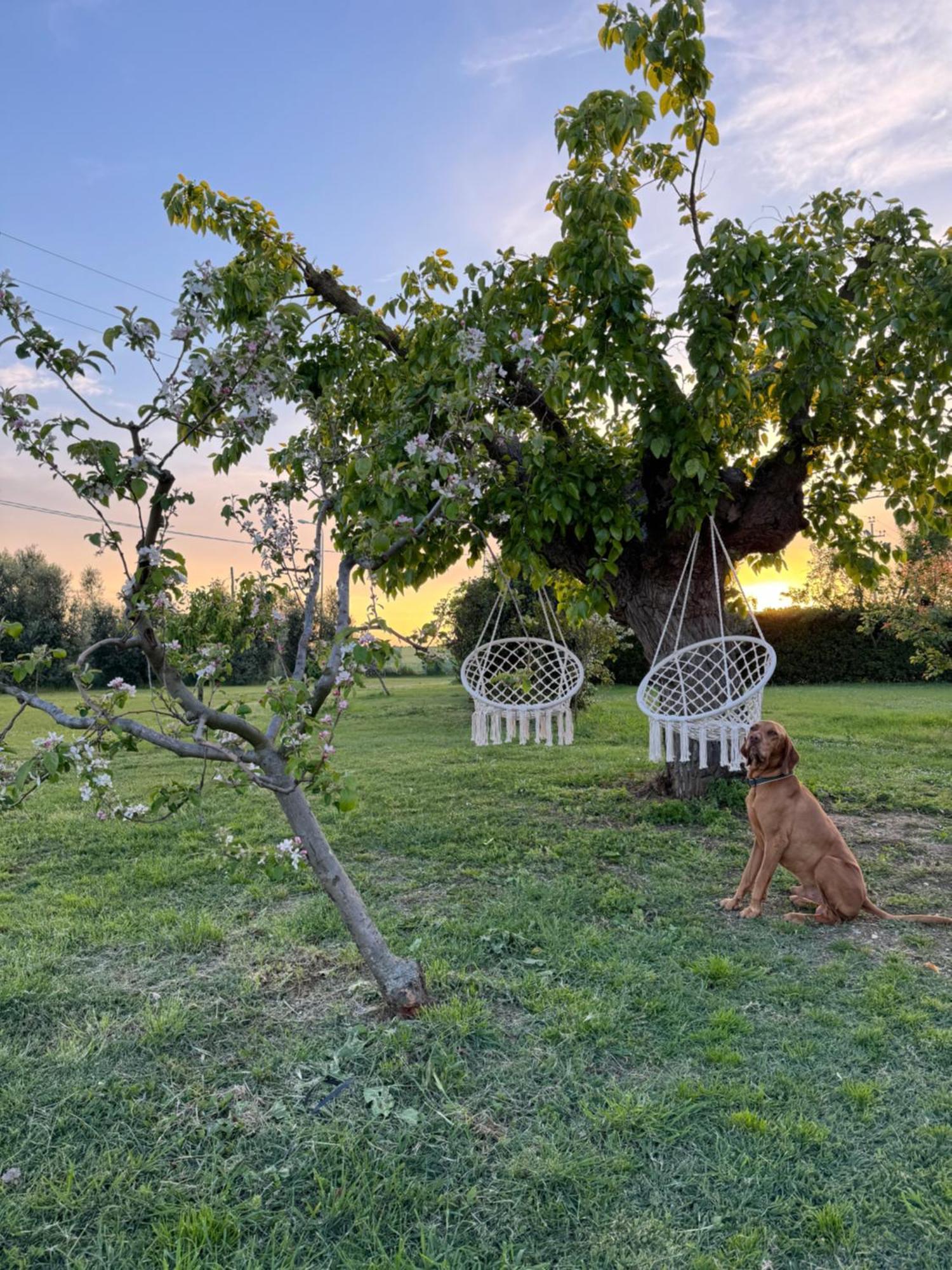Agriturismo Le Grange Numana Eksteriør bilde